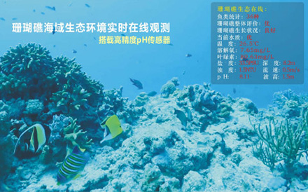 水下波浪在线观测系统