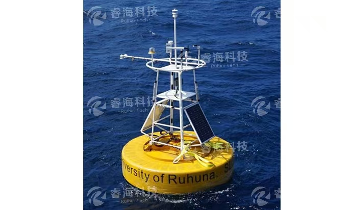 海洋浮标是怎么布放的