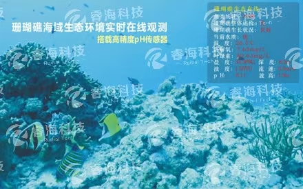 海洋观测系统：水下波浪在线观测系统