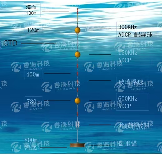 微信图片_20250225170430